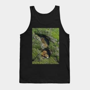 Two Rock Pools Tank Top